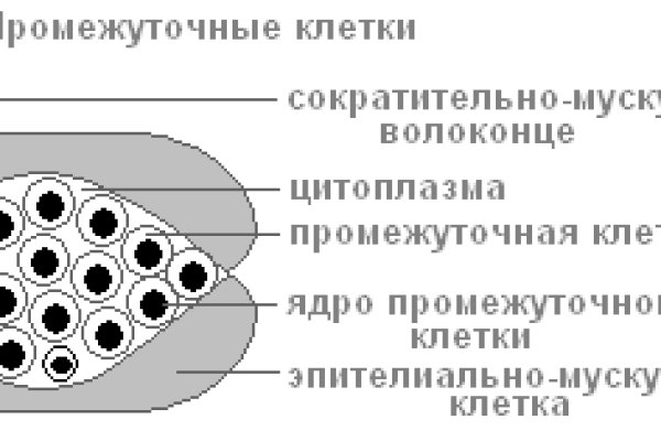 Tor зеркала